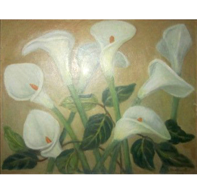 White Calla Lilies <span>WILLIAM H.DALY</span>