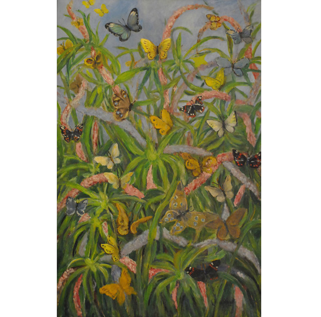 Butterflies and flowers <span>DALY/STEUBE FAMILY</span>