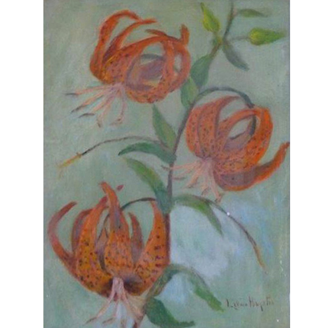 Tiger Lilies <span>COLIN STAIRS</span>