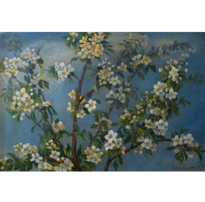 Apple Blossoms <span>MARTHA DALY BARRINGTON</span>