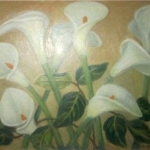 White Calla Lilies <span>WILLIAM H.DALY</span>