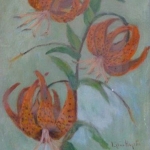 Tiger Lilies <span>COLIN STAIRS</span>